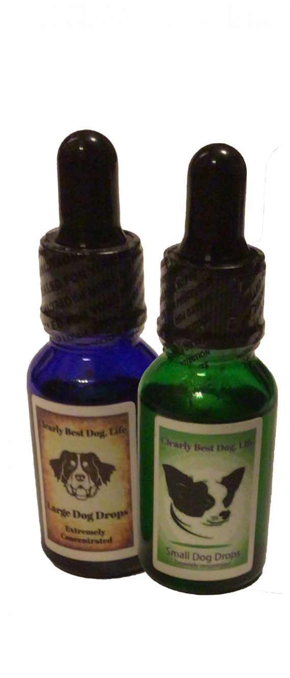 Dog Family Pack